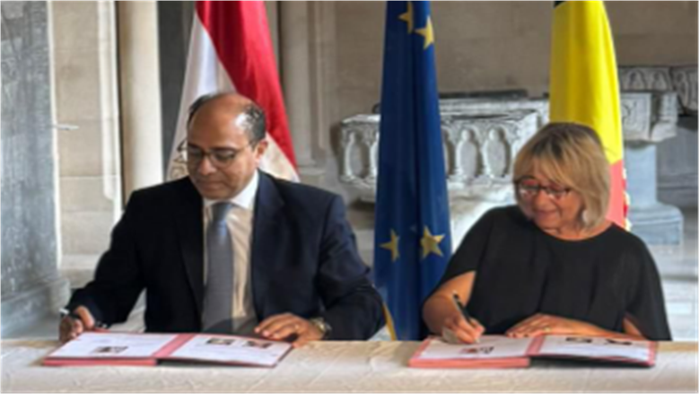 السفارة المصرية