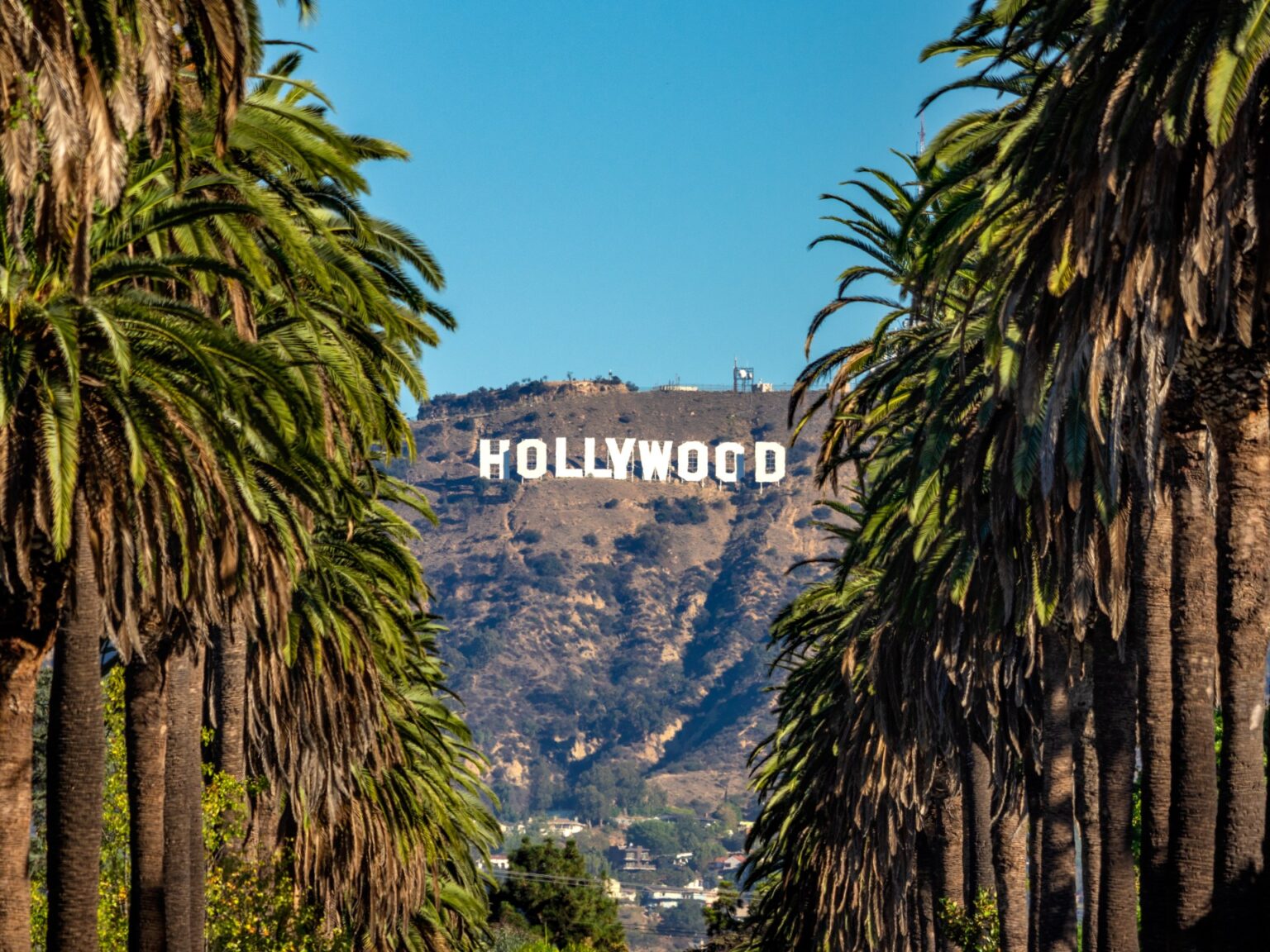 السطوة الناعمة لهوليود.. كيف غيّرت أميركا شكل السينما العالمية؟ | فن السطوة الناعمة لهوليود.. كيف غيّرت أميركا شكل السينما العالمية؟ | فن