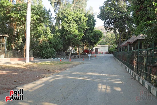 تجهيزات بالحديقة  (2)