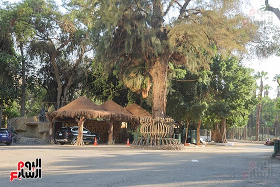 تجهيزات بالحديقة  (3)