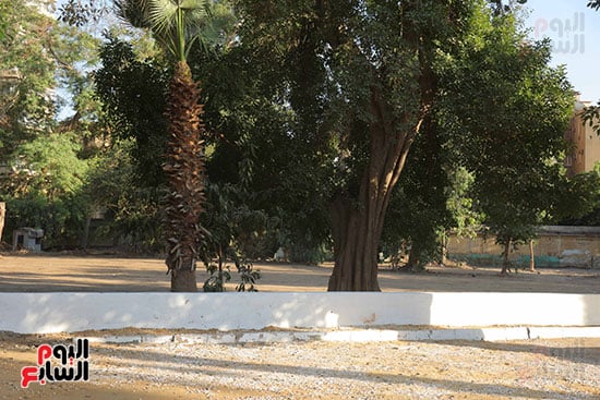 تجهيزات بالحديقة  (4)