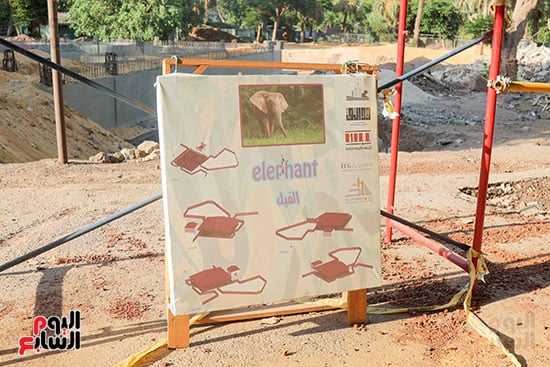 اعمال تطوير حديقة الحيوان  (1)