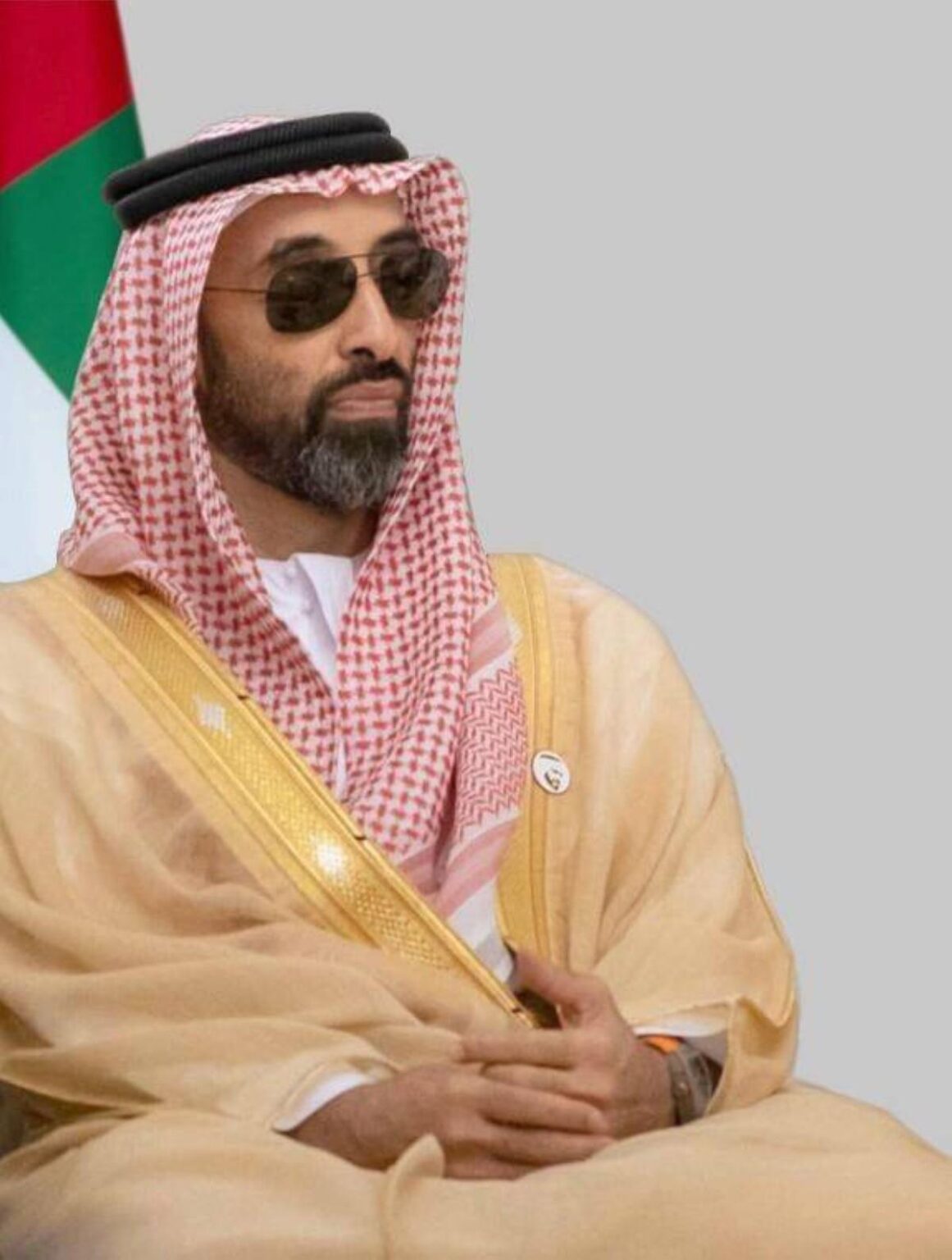 طحنون بن زايد: القابضة -ADQ ملتزمة بدعم التحول الرقمي والتنويع الاقتصادي في الإمارات