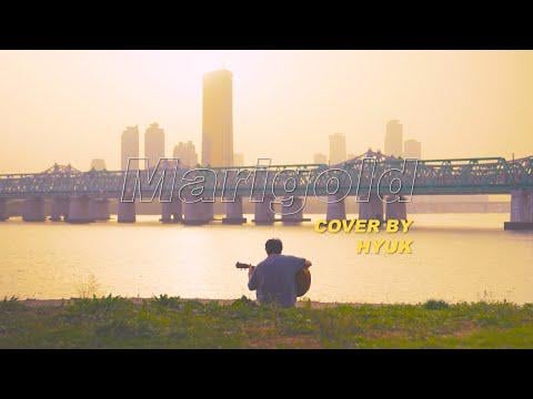 Vixx Hyuk - Marigold (Orig. Aimyon)