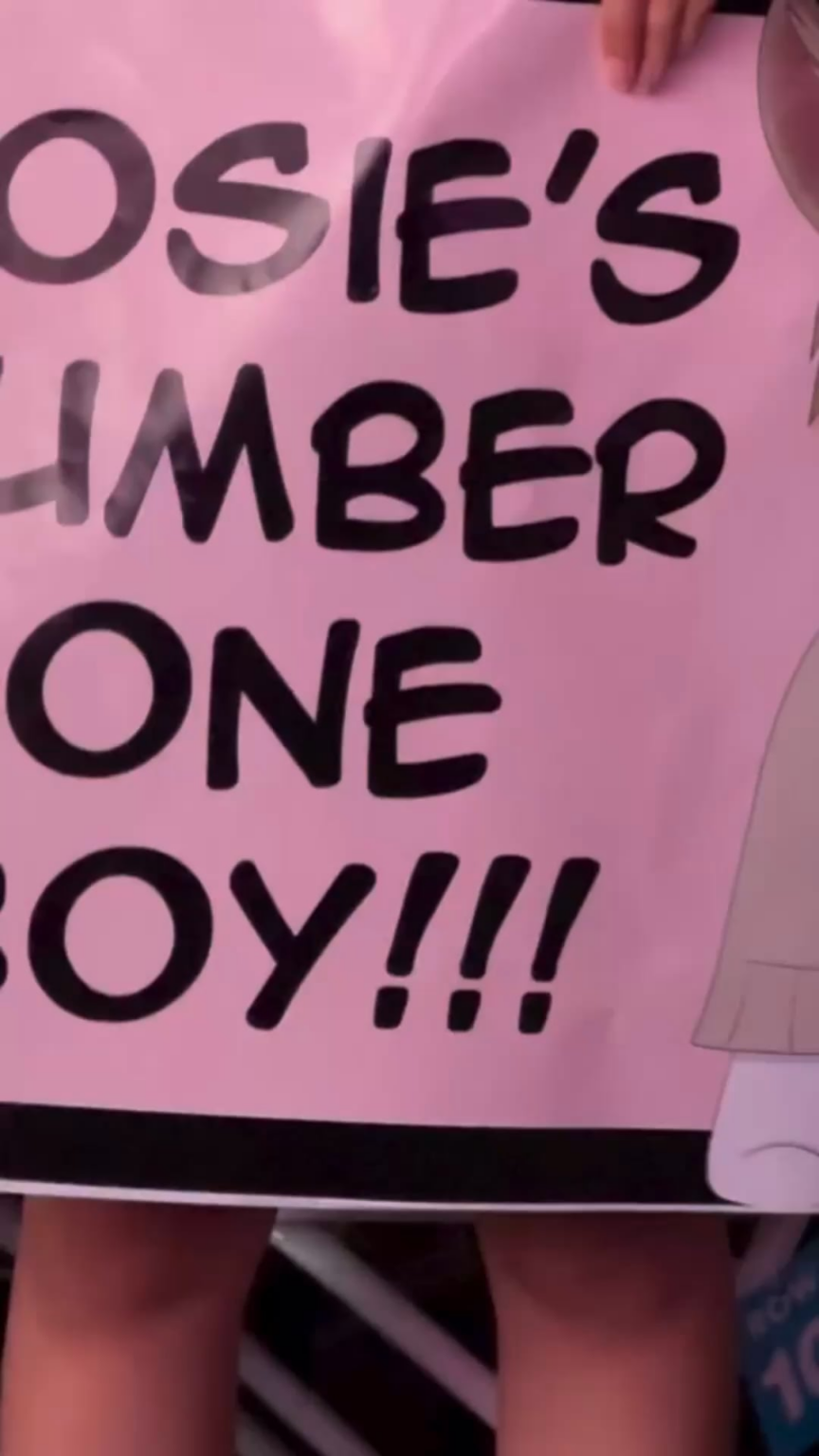 250713 Rosé (Vampirehollie) igud update