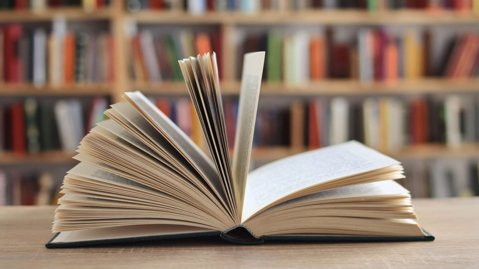ثقافة بلا حدود مبادرة تقرّب الكتاب من كل بيت في الشارقة ثقافة بلا حدود مبادرة تقرّب الكتاب من كل بيت في الشارقة