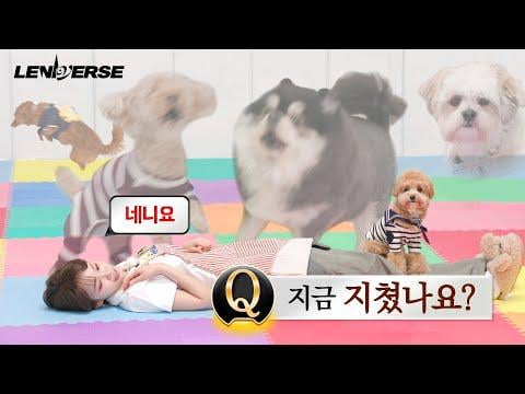 250716 Le Serafim - [LENIVERSE] PetSitter الكلاب: هل أنت متعب الآن؟ أيها ... لا L ep.60