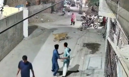 صورة مقتطعة من الفيديو. 