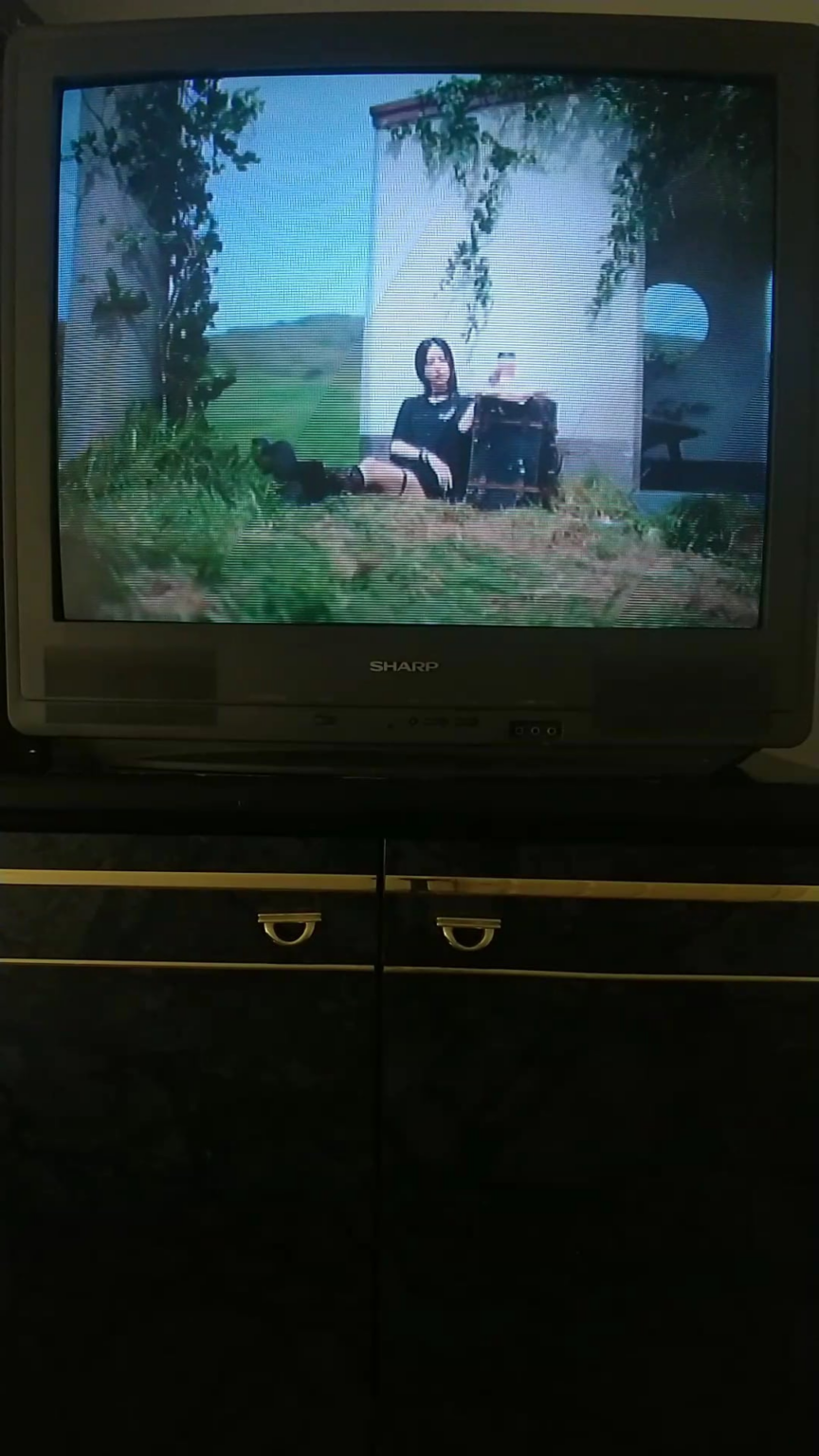 إذا كنت لا تملك تلفزيون CRT ، وكنت فضوليًا لرؤية تنسيق 4: 3 M/V معروض على واحد. هنا مرتين العدو M/V لعبت من خلال CRT.