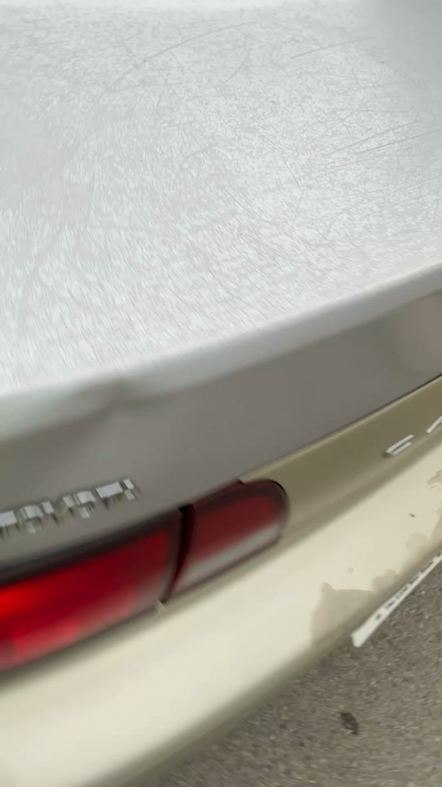 سهل على 10 بوصة skar