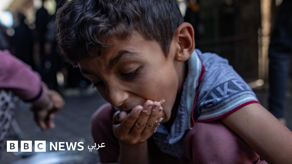 حرب غزة: بي بي سي تحذر من خطر المجاعة الذي يلاحق حتى الصحفيين في غزة، وتقارير إسرائيلية تكشف تفاصيل من ردَّ حماس على مقترح الهدنة