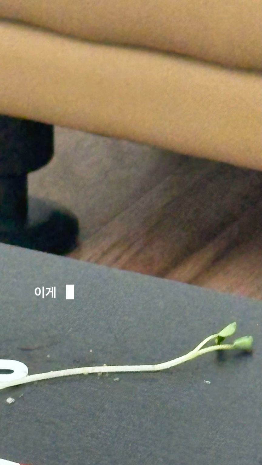 250723 تحديث قصة Karina Instagram