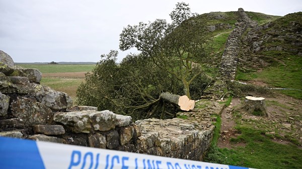حكم بالسجن على رجلين أسقطا أيقونة طبيعية في بريطانيا