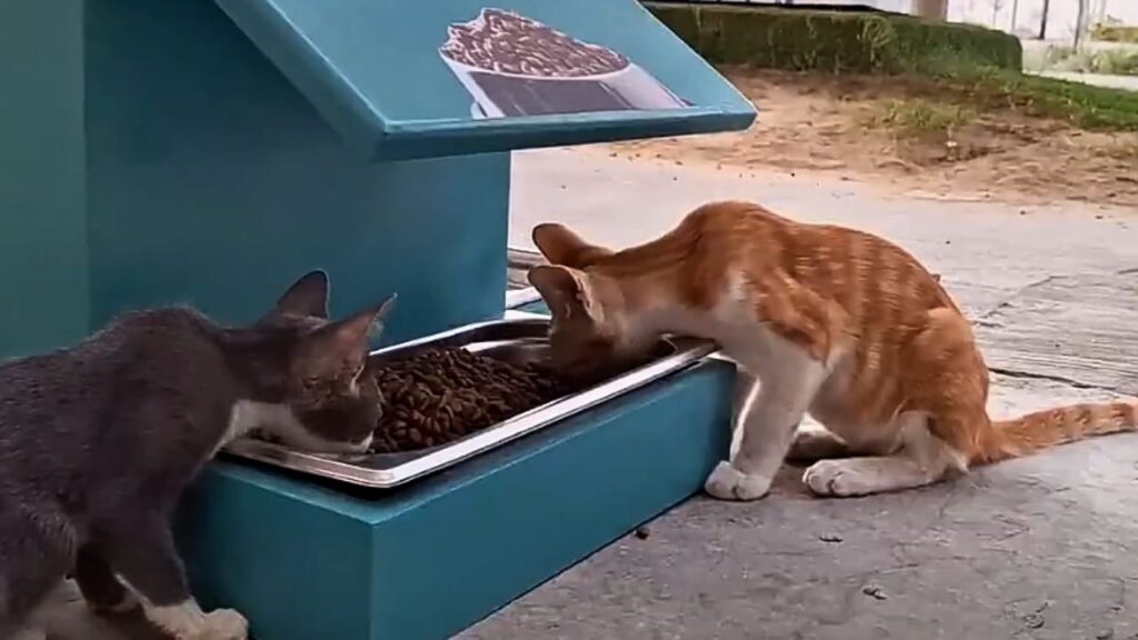 أديداس تكشف عن الكرة الذهبية لنهائي كأس العالم للأندية