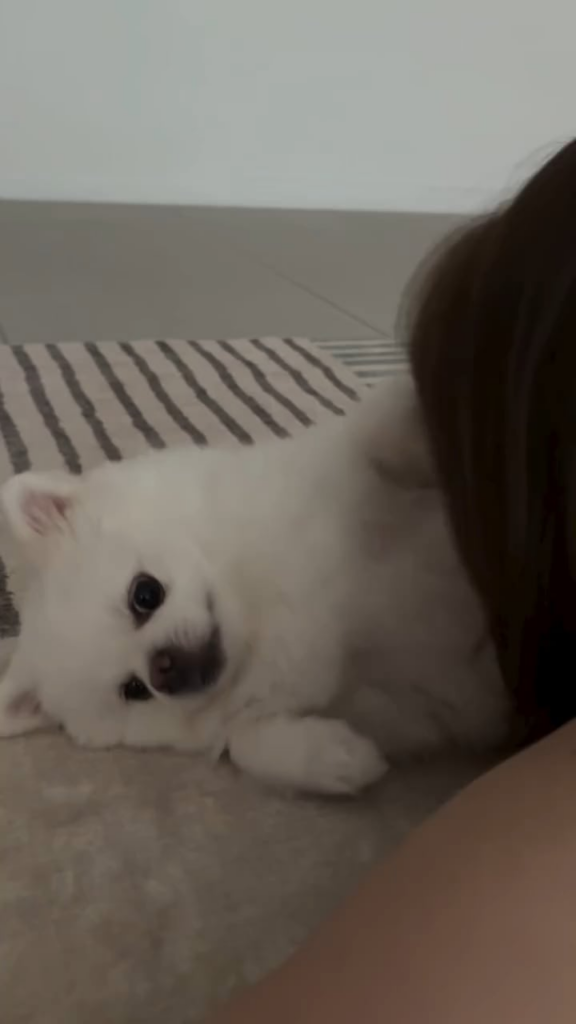 250709 تحديث Shiro Instagram مع Kim Chaewon