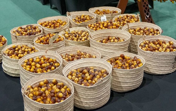 7 أصناف متميزة تتنافس على جوائز "ليوا للرطب"