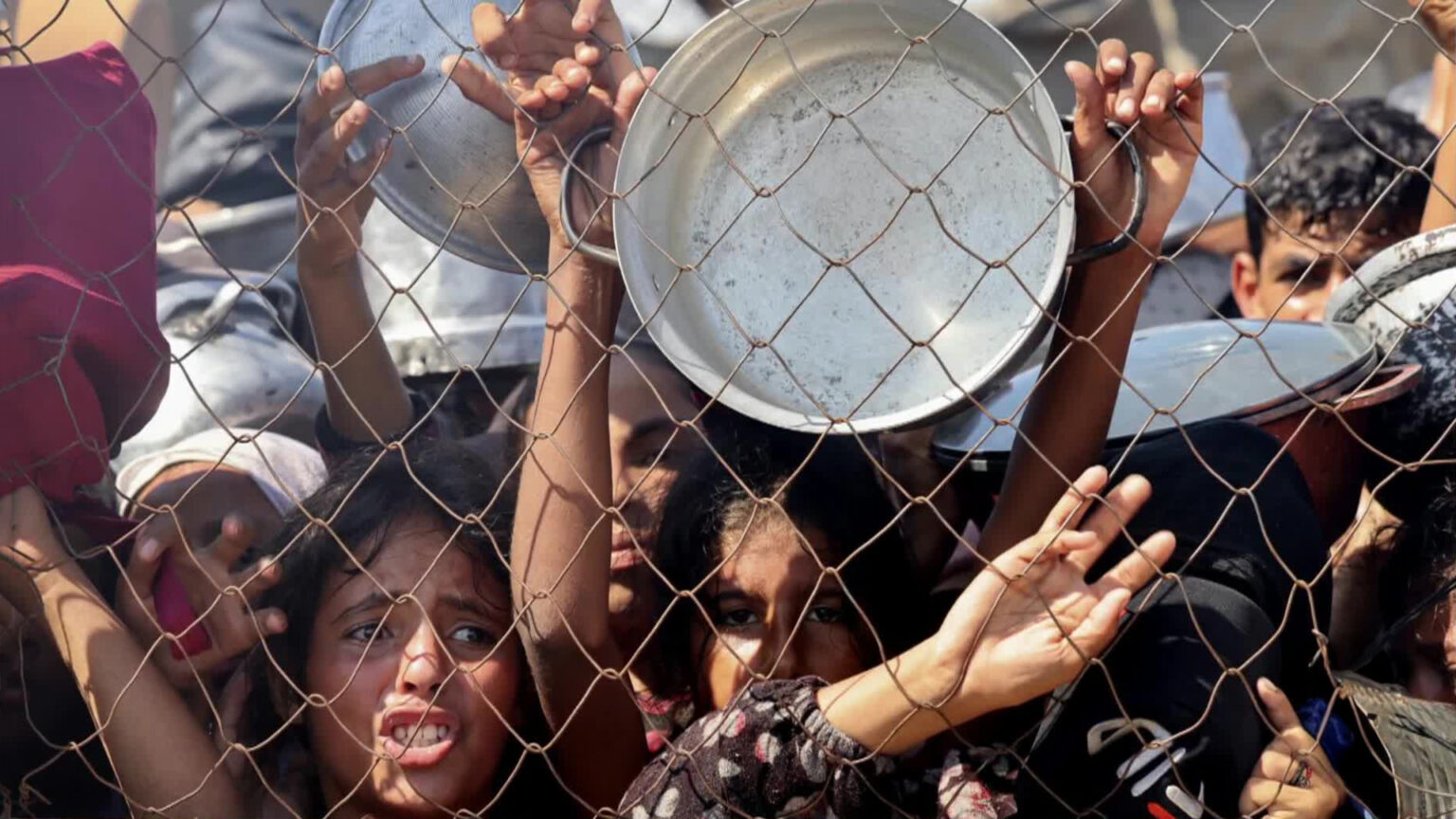 115 شهيدا بسبب المجاعة في غزة والخطر يتفاقم على الأطفال | أخبار