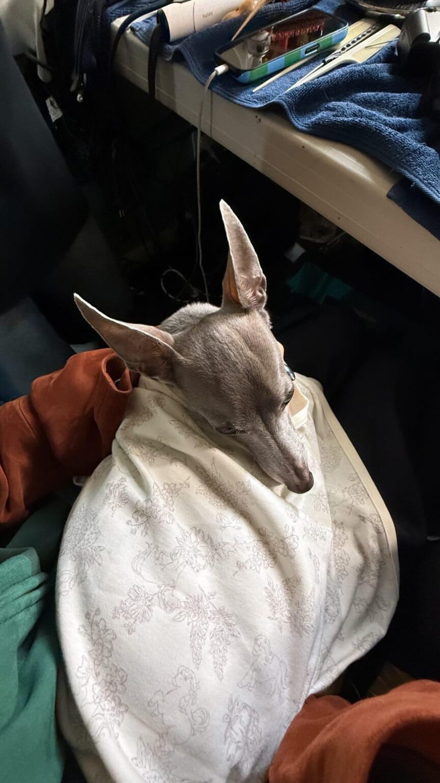 250729 تحديث قصة Giselle Instagram مع Cooper