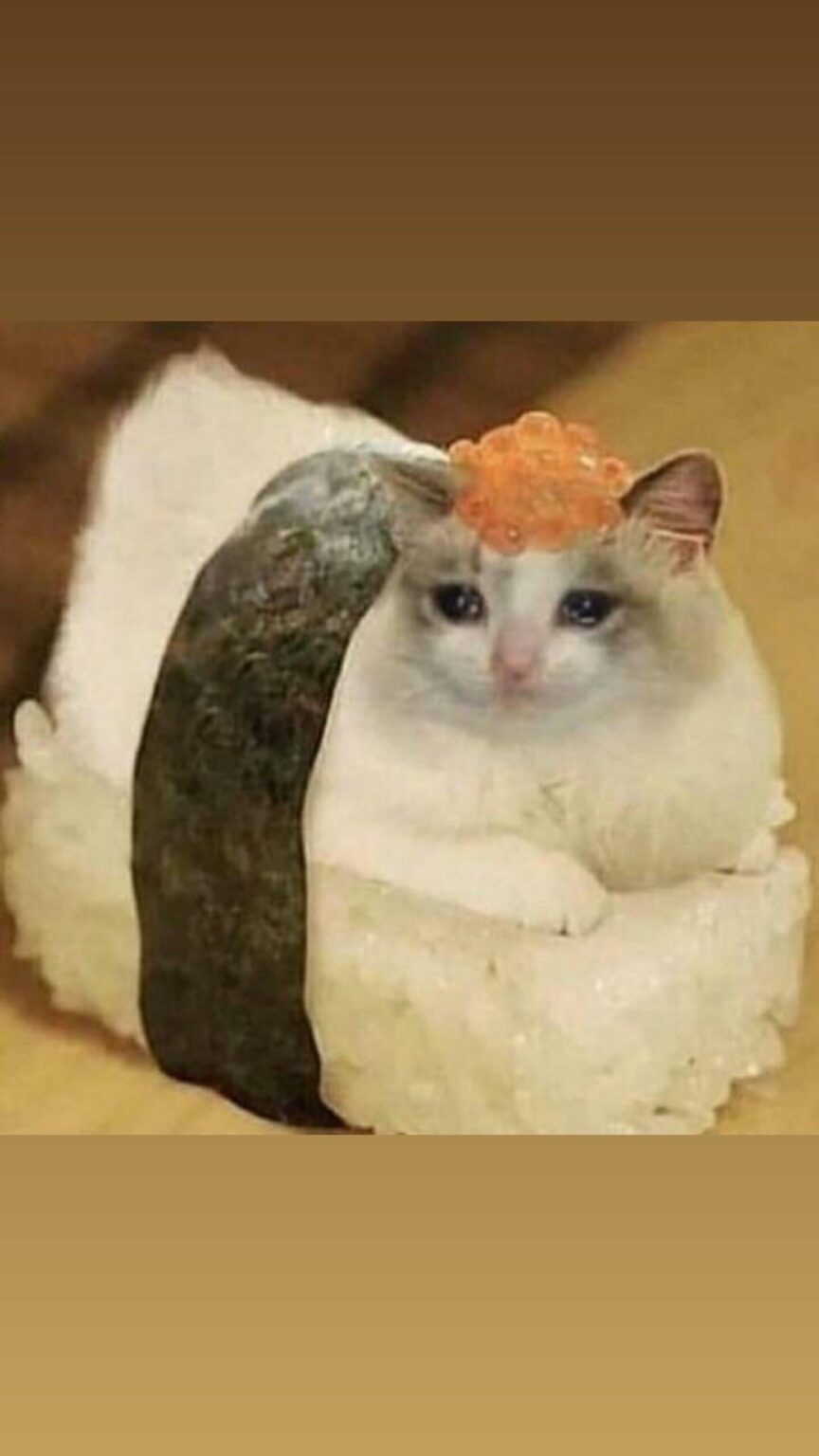 250707 Lights Instagram Update