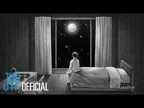 Seungmin (Stray Kids) - Skz -Record: وداعا