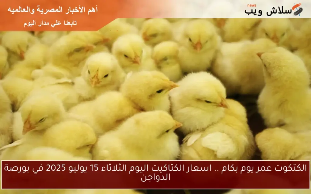 الكتكوت عمر يوم بكام .. اسعار الكتاكيت اليوم الثلاثاء 15 يوليو 2025 في بورصة الدواجن الكتكوت عمر يوم بكام .. اسعار الكتاكيت اليوم الثلاثاء 15 يوليو 2025 في بورصة الدواجن