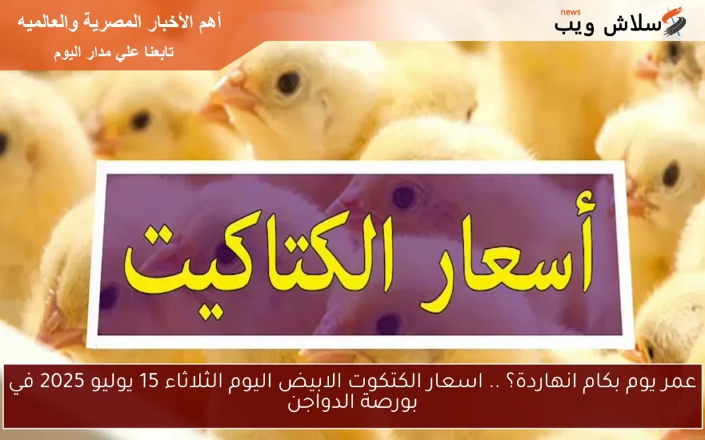 عمر يوم بكام انهاردة؟ .. اسعار الكتكوت الابيض اليوم الثلاثاء 15 يوليو 2025 في بورصة الدواجن