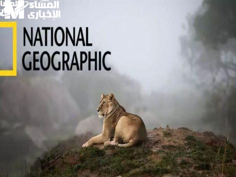 عيش أجواء الإثارة واكتشف العالم من بيتك.. تردد قناة ناشيونال جيوغرافيك 2025 الجديد على القمر الصناعي مغامرات مذهلة بانتظارك كل يوم عيش أجواء الإثارة واكتشف العالم من بيتك.. تردد قناة ناشيونال جيوغرافيك 2025 الجديد على القمر الصناعي مغامرات مذهلة بانتظارك كل يوم