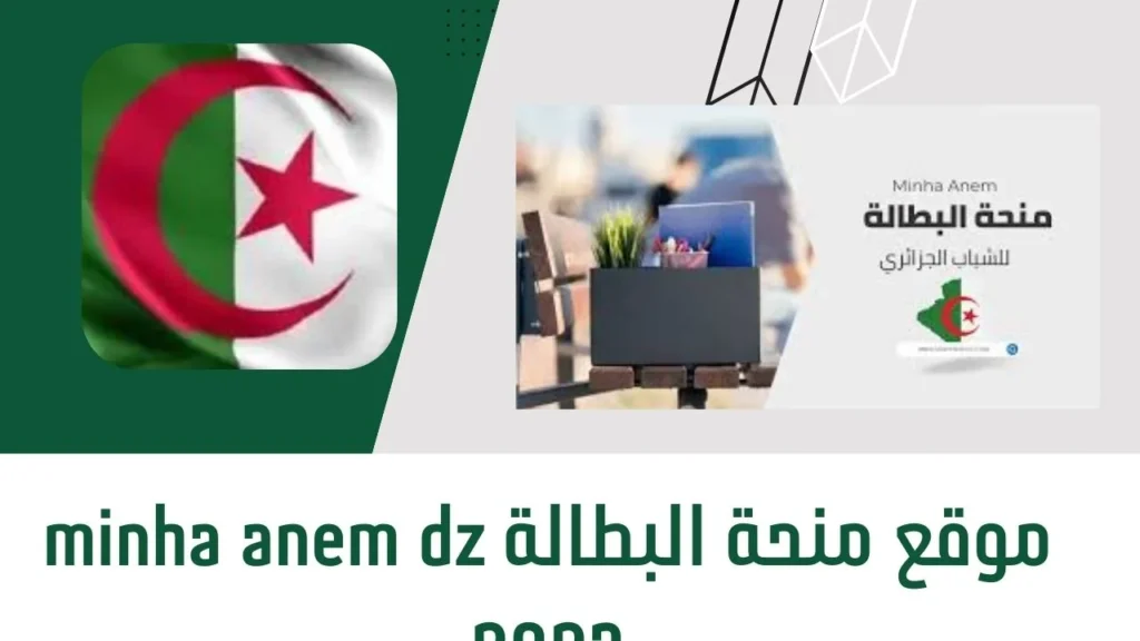 خطوة مستقرة .. خطوات وشروط تجديد منحة البطالة 2025 في الجزائر راحة نفسية