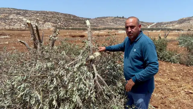 إبراهيم حمايل