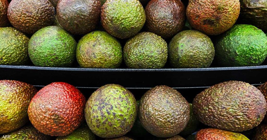 ثمرة واحدة من الأفوكادو يوميا تغير حياتك.. وهذه النتيجة