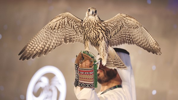 تحت رعاية حمدان بن زايد.. معرض أبوظبي الدولي للصيد والفروسية ينطلق اليوم تحت رعاية حمدان بن زايد.. معرض أبوظبي الدولي للصيد والفروسية ينطلق اليوم