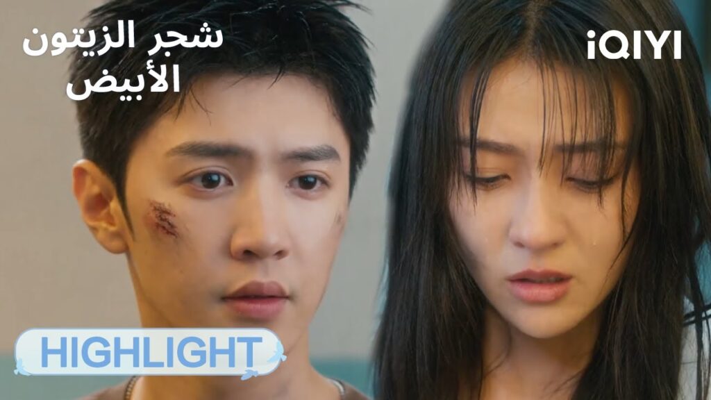 شجر الزيتون الأبيض The White Olive Tree | 🥹☔مفاجأة! هو طلع مرتبط؟！ | الحلقة02-04  | iQIYI Arabic