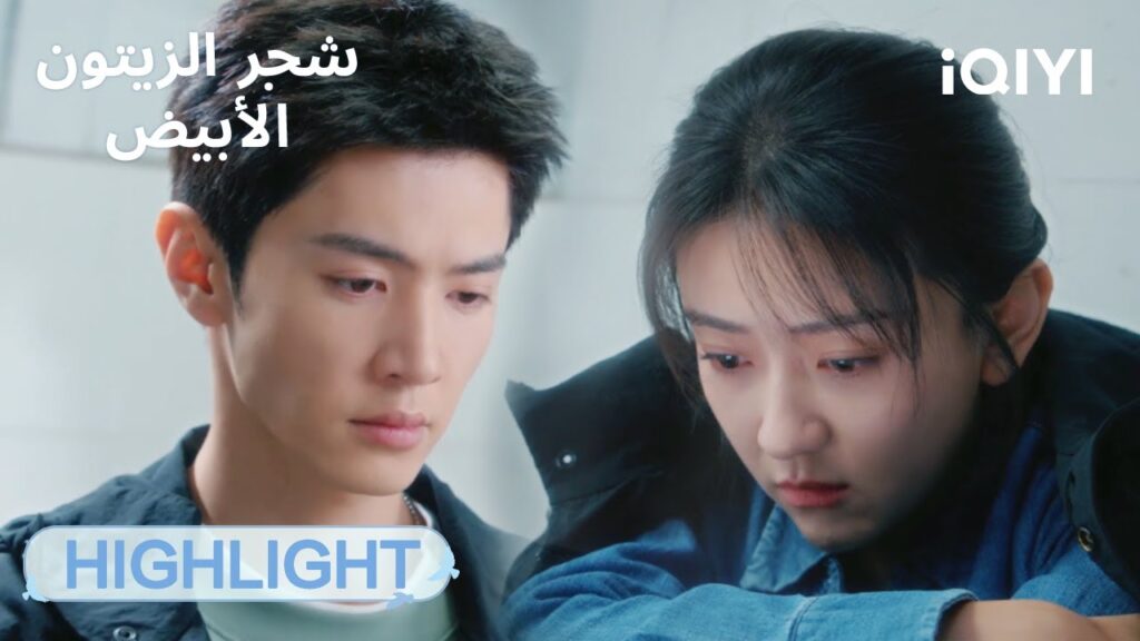 شجر الزيتون الأبيض The White Olive Tree | 🏙اللقاء في الشارع | الحلقة15-16  | iQIYI Arabic