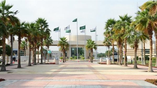 وظائف الجامعات اليوم
