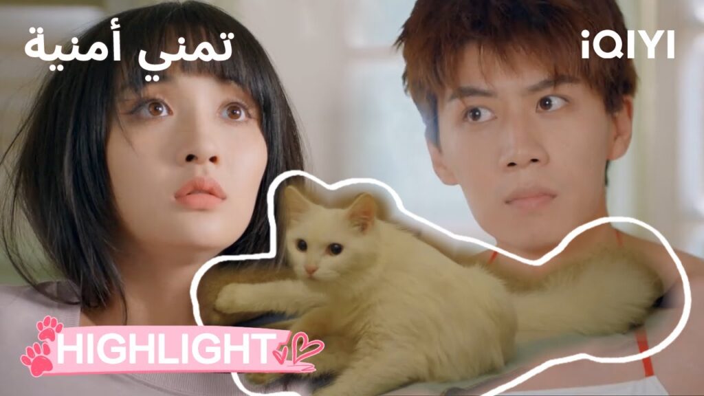 🐾تمني أمنية Make a Wish | امتنان القط 🐱 | الحلقة 01-02 | iQIYI Arabic