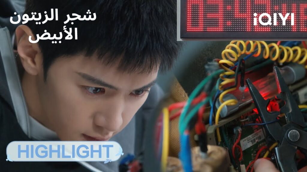 | تفكيك قنبلة بشرية ⏳ | الحلقة21-22 | شجر الزيتون الأبيض The White Olive Tree  | iQIYI Arabic