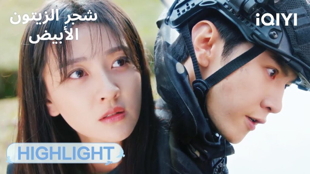 |💕🌍ألف ميل من أجل لقاء | الحلقة 27-28 | شجر الزيتون الأبيض The White Olive Tree  | iQIYI Arabic