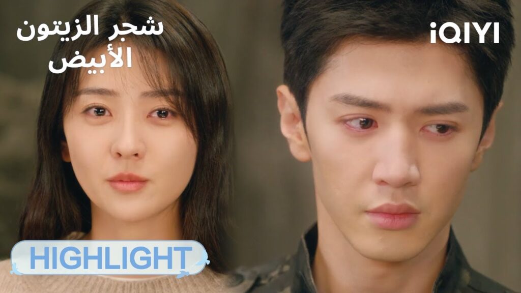 |🥲وسط نيران المعركة  | الحلقة 29-30 | شجر الزيتون الأبيض The White Olive Tree  | iQIYI Arabic