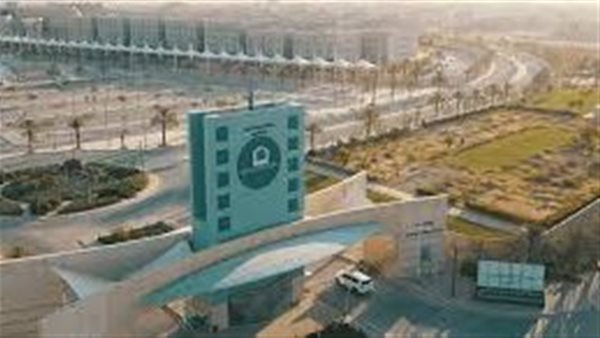 وظيفة جامعة