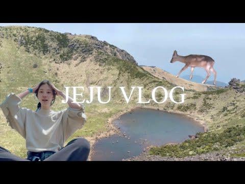 Chaesol (Cignature السابق) - Jeju Solo Travel Vlog الحلقة 3: Hallasan Summit Climb + Jeju's Best Restaurants.zip (250811)