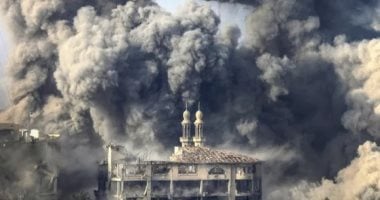 دخول 45 شاحنة مساعدات إماراتية إلى معبر كرم أبو سالم تمهيدا لدخولها إلى غزة