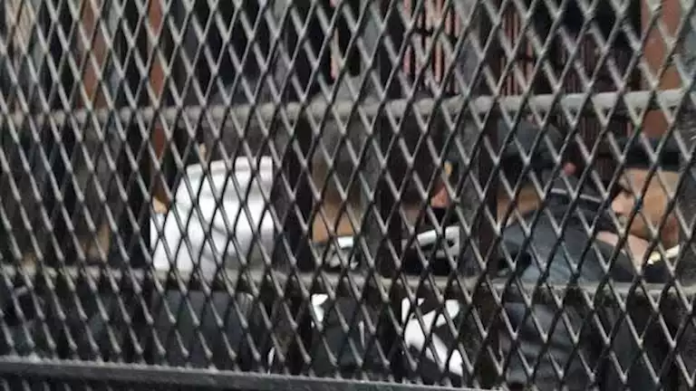 بعد الإحالة للمفتي.. الفصل في قضية "مقتل ابن السفير" اليوم