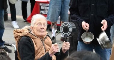 باعت ممتلكاتها لإنتاج فيلم يدعم فلسطين.. من هى الفنانة العالمية ريدجريف؟ باعت ممتلكاتها لإنتاج فيلم يدعم فلسطين.. من هى الفنانة العالمية ريدجريف؟