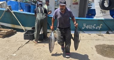 رحلة تستغرق 8 أيام.. موسم صيد التونة أهم مواسم الصياد بدمياط.. فيديو رحلة تستغرق 8 أيام.. موسم صيد التونة أهم مواسم الصياد بدمياط.. فيديو