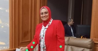 11 لجنة انتخابية فى القارة الإفريقية تفتح أبوابها لاستقبال الناخبين المصريين 11 لجنة انتخابية فى القارة الإفريقية تفتح أبوابها لاستقبال الناخبين المصريين