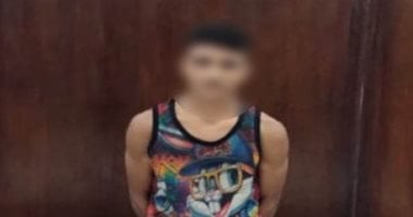 الداخلية تكشف ملابسات فيديو "البلطجة" فى المرج وتضبط المتهم