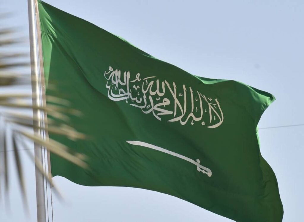 برنامج معاشات وادخار للسعوديين والمقيمين.. يعلن قريباً - أخبار السعودية