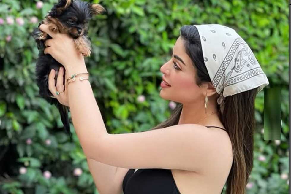 وُلدت في الأردن ولديها موهبة أخرى غير التمثيل.. 19 معلومة عن الفنانة ميرنا جميل وُلدت في الأردن ولديها موهبة أخرى غير التمثيل.. 19 معلومة عن الفنانة ميرنا جميل