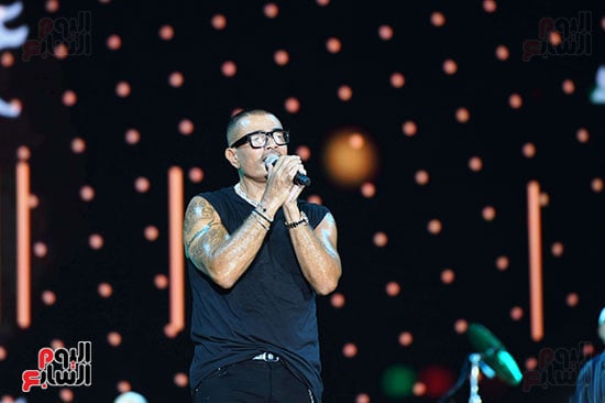 عمرو دياب (2)