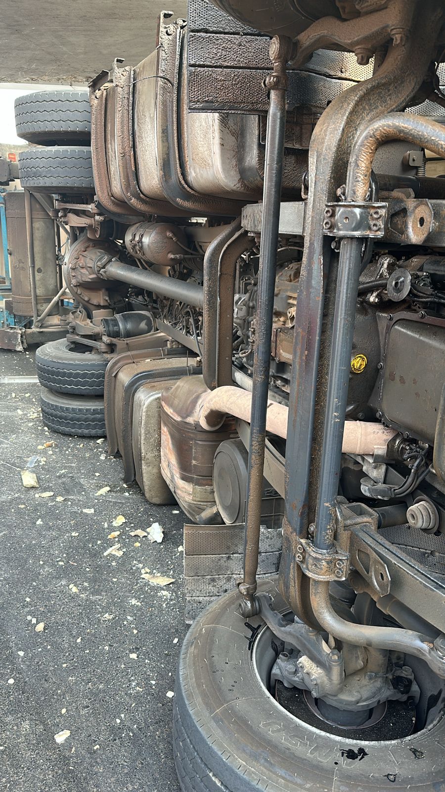 a1b25648-6acc-4491-bf42-fece459f15ec